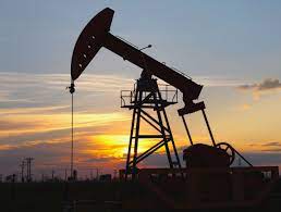 歐佩克+：今年7月阿爾及利亞石油產量將增至103.9萬桶/日