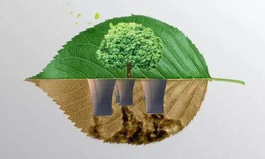 激發“綠色”新動能，碳中和生態圈如何形成合力