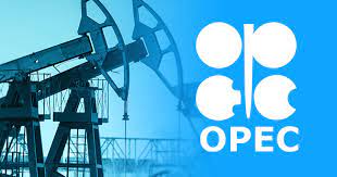 OPEC 代表：OPEC5月减产执行率升至256%