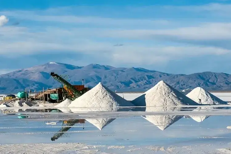 贛鋒鋰業旗下公司擬收購海外公司以投資阿根廷鋰鹽湖項目