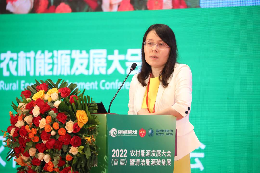 徐洪峰：中国绿色金融发展现状及支持农村龙8发展案例