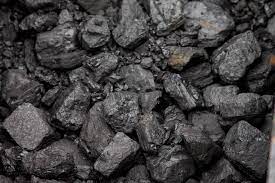 国际主要港口动力煤价格涨跌均现