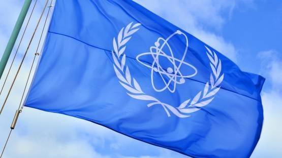 国际原子能机构已组建赴核电站考察专家组