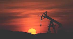 OPEC觀察人士預計石油產量將持穩 因石油前景收緊