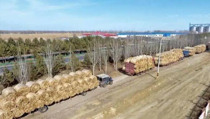 内蒙古：超40万千瓦农林生物质发电项目纳入发展规划