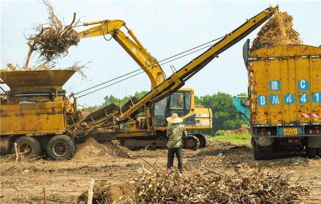 海南省海口多举措推进秸秆等农林废弃物综合利用