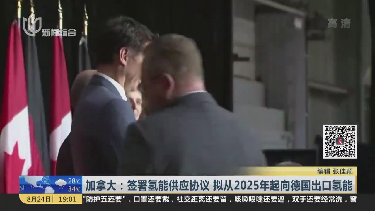 加拿大：签署氢能供应协议 拟从2025年起向德国出口氢能,财经,国际经济,好看视频