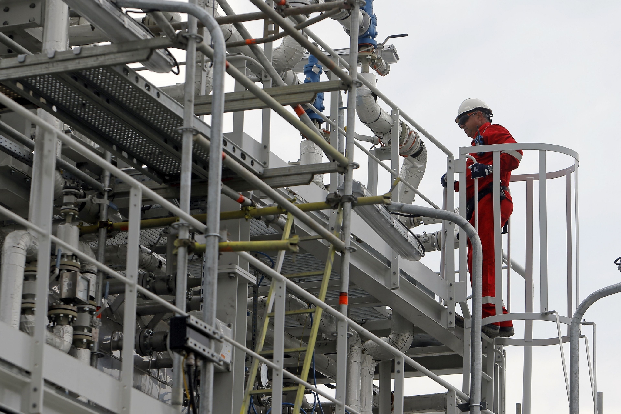天然氣短缺 法國酸奶廠或停產