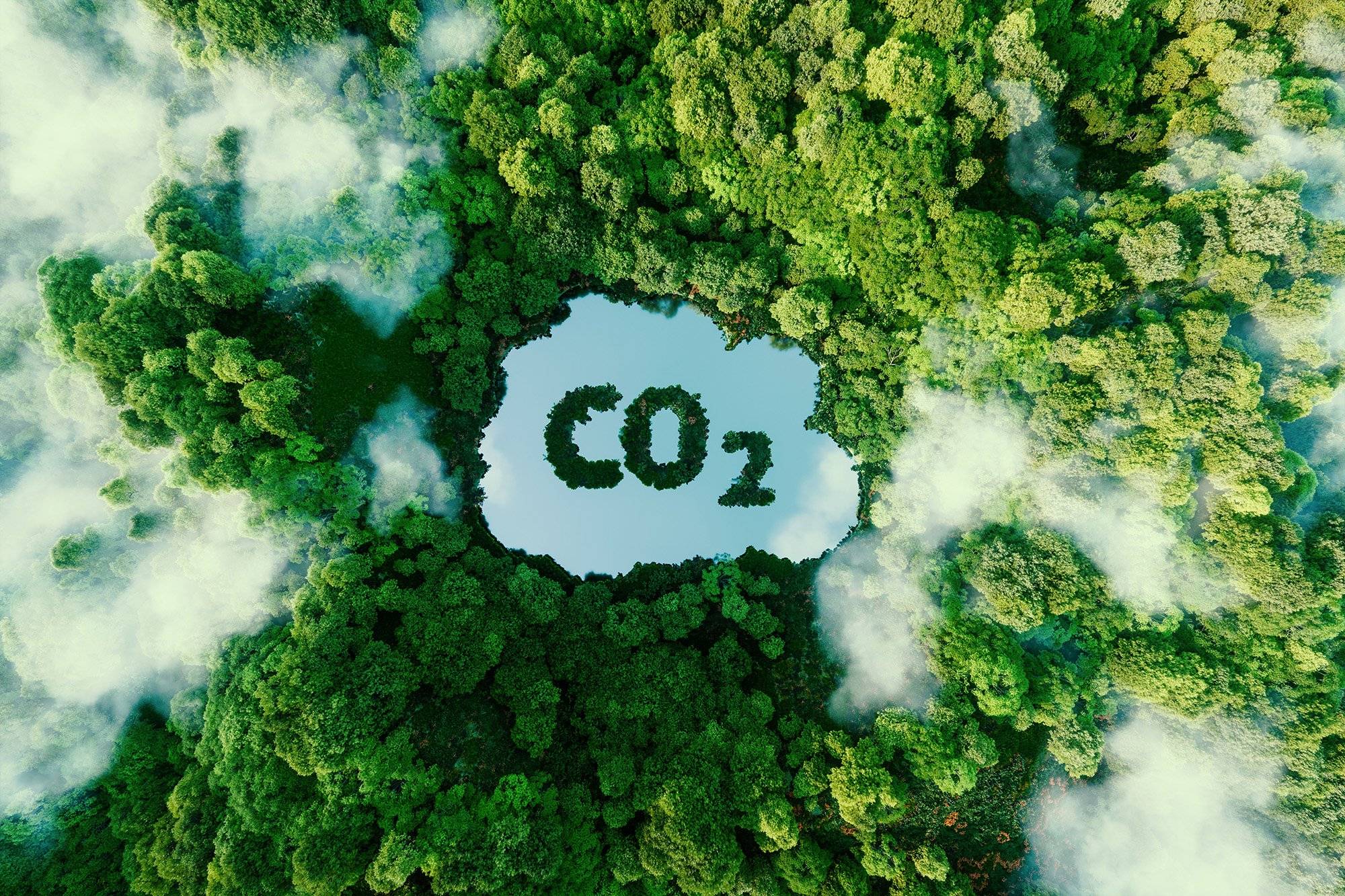 法國碳中和的下一步