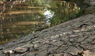 美国中西部干旱严重 密西西比河处于十年来最低水位
