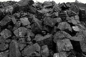 国际动力煤价格高于焦煤，会是常态吗?