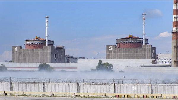 格罗西：扎波罗热核电站周围建立安全区前景乐观