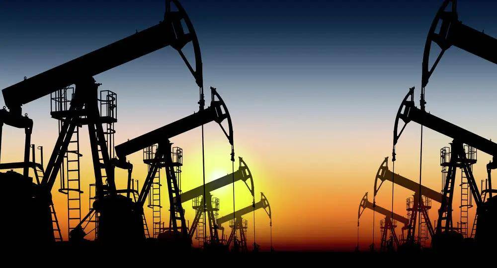 土耳其和阿尔及利亚将成立联合油气勘探公司