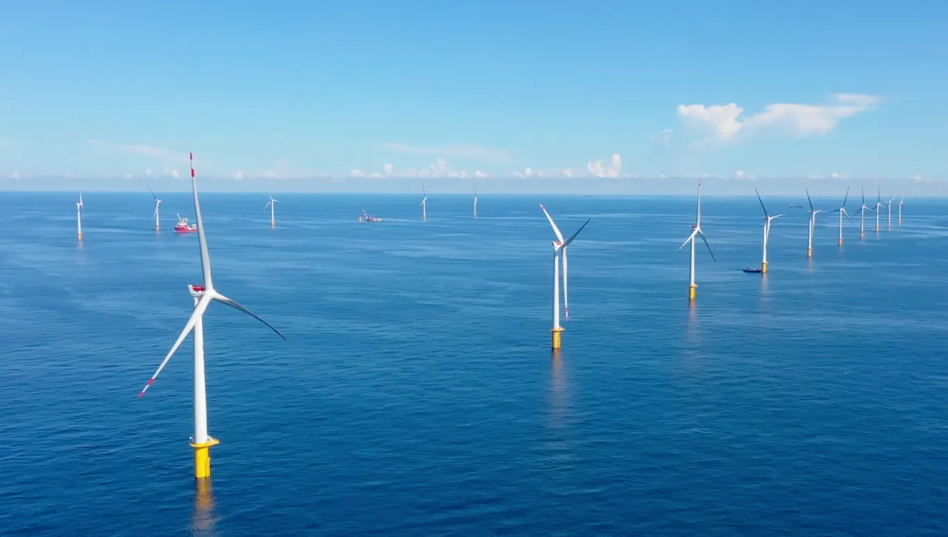 单机容量10MW以上！三峡能源海上风电项目启动招标