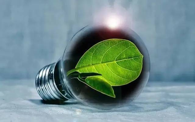 第十一屆中國國際生物質能源與有機固廢資源化利用高峰論壇