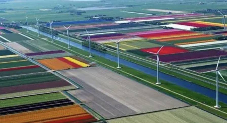荷兰在新一轮SDE++中选择2.2GW光伏项目