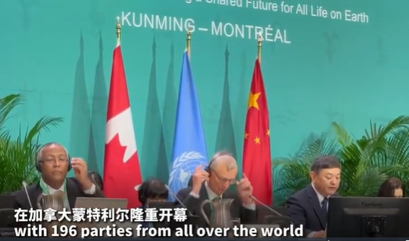 全球生物多样性公约大会COP15在加拿大开幕 中方呼吁国际合作