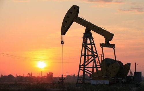 投资者呼吁石油巨头制定更积极的气候目标