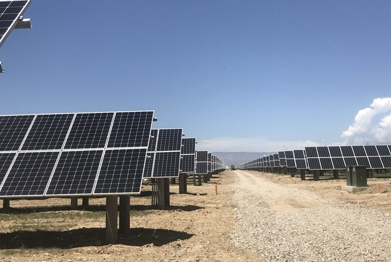 全球首次！重要里程碑