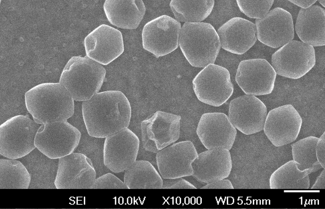 新研究显示锂金属电池可在一小时内完成充电