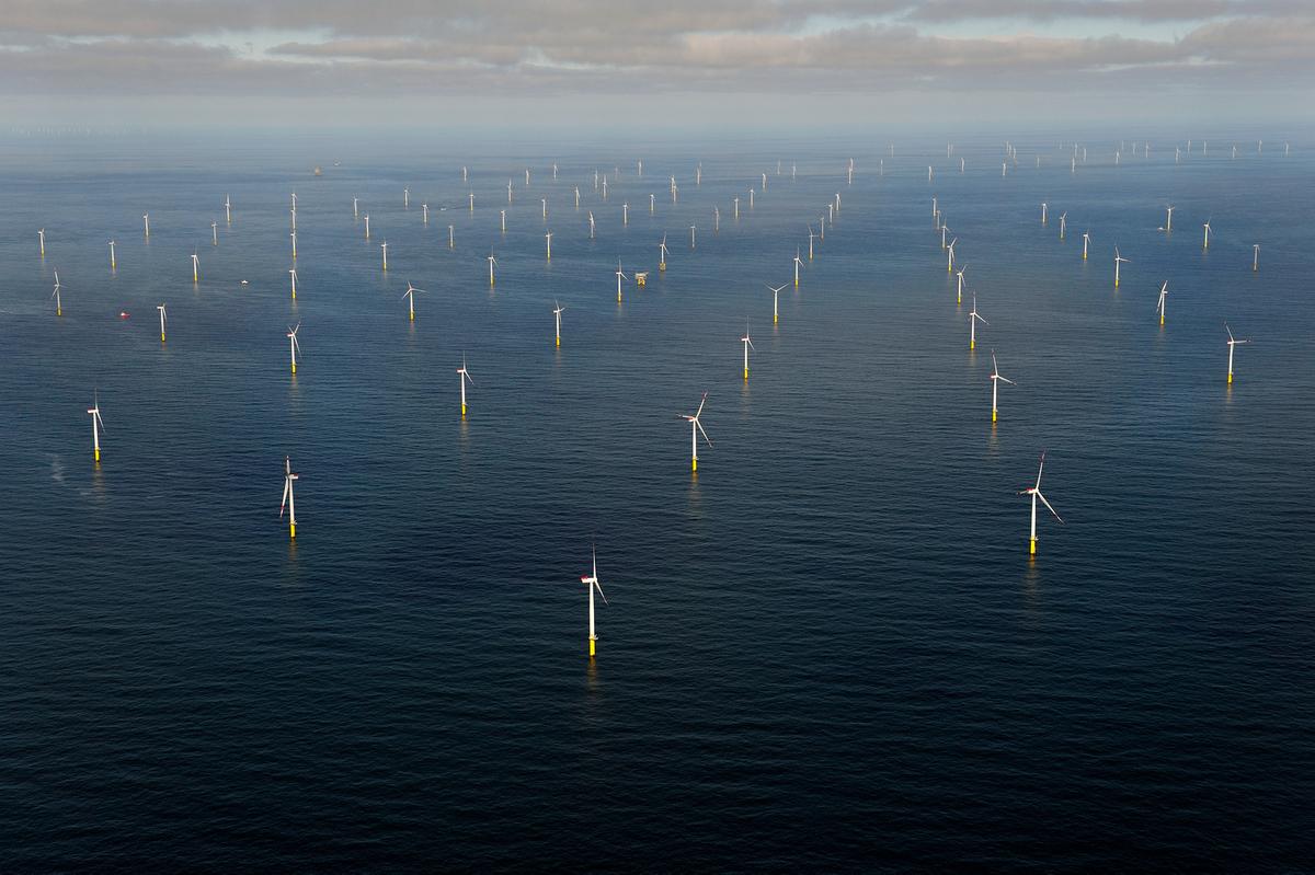 引入定性标准！德国启动1800MW海上风电招标