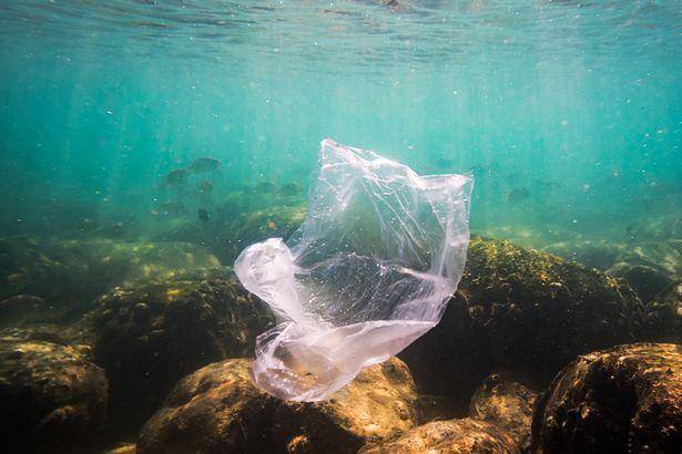 世界银行支持中国陕西省塑料垃圾减量