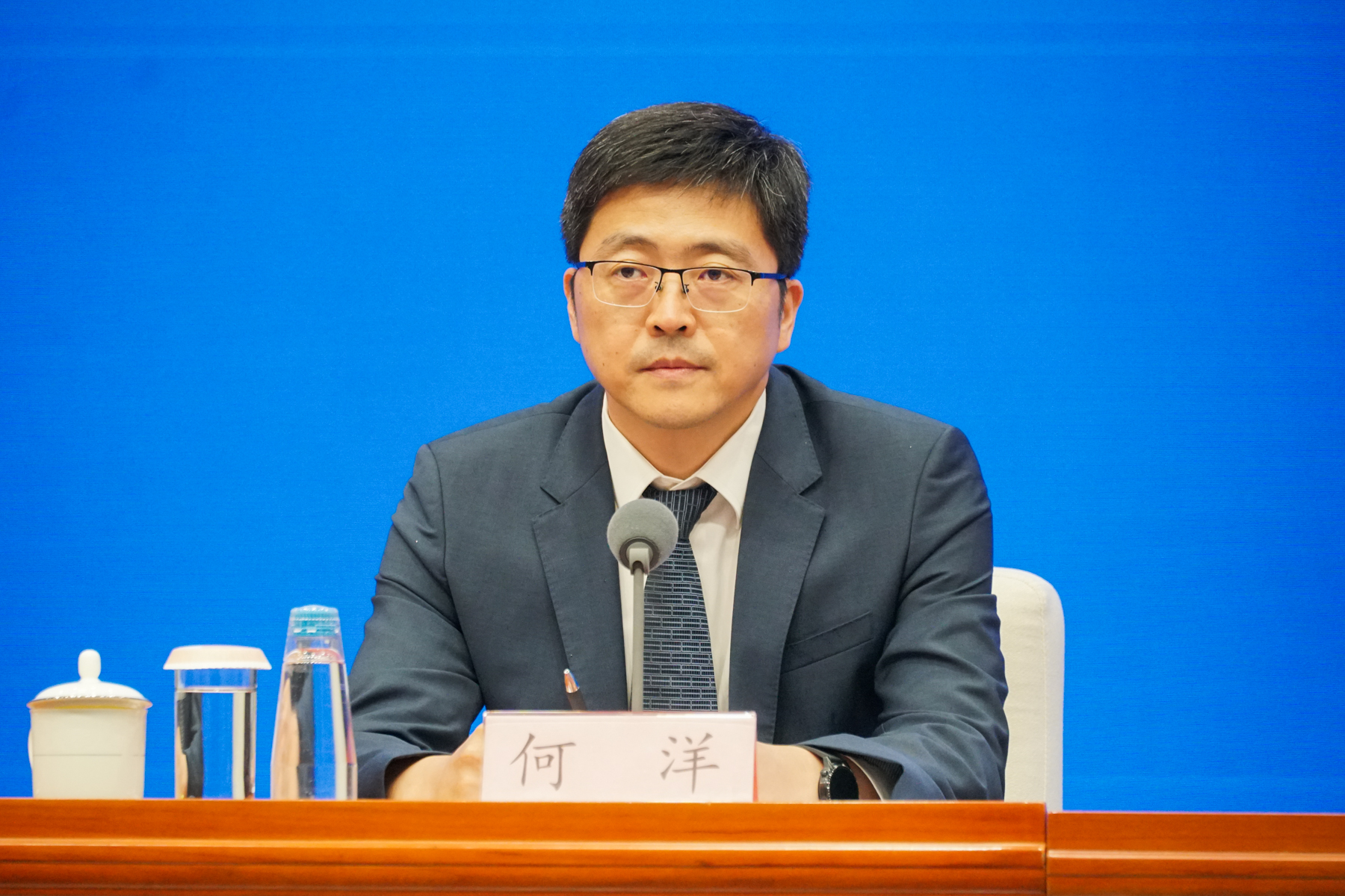 何洋任國家能源局副局長