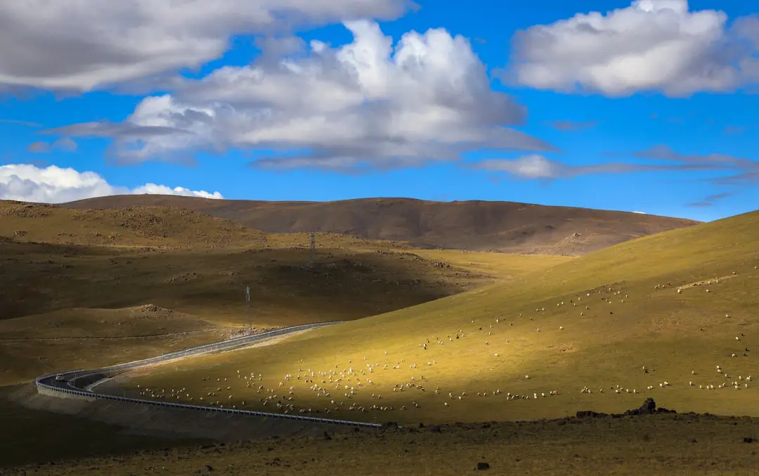 西藏仍是世界生态环境质量最好地区之一
