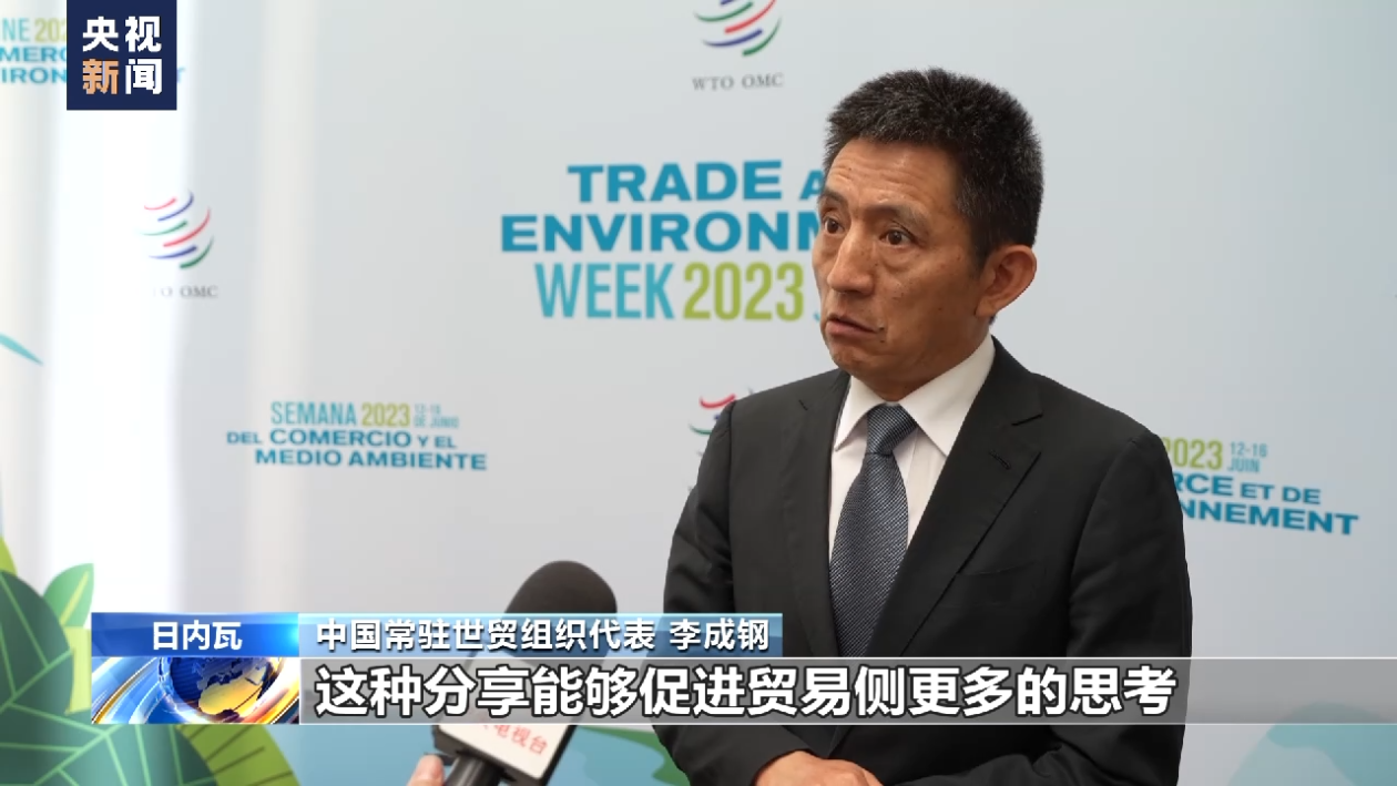 中国在世贸组织就能源转型举行研讨会 分享中国经验