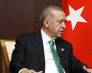 土耳其总统埃尔多安：欧洲对通过土耳其获得天然气感兴趣