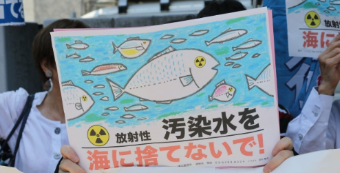 韩国人买鱼都带辐射检测仪了！专家：精准测量需超3小时，更多是安慰