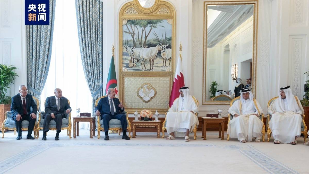 卡塔尔埃米尔与阿尔及利亚总统举行会谈 聚焦能源领域合作