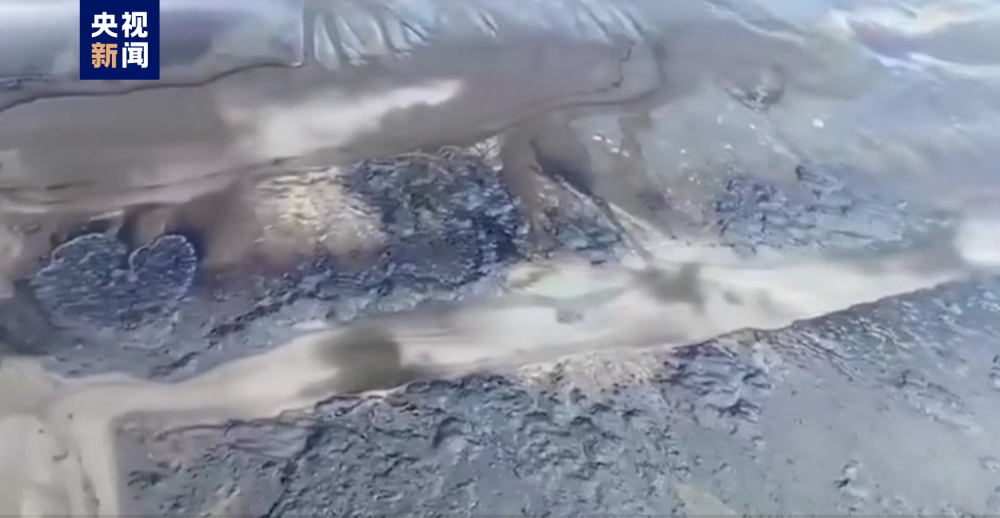 厄瓜多尔原油泄漏污染海水 附近海滩关闭