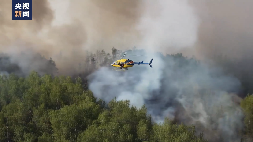 加拿大森林火灾致碳排放量持续上升，专家警告“危险循环”