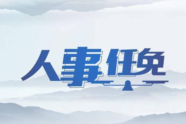 电气风电：提名陈术宇为董事候选人