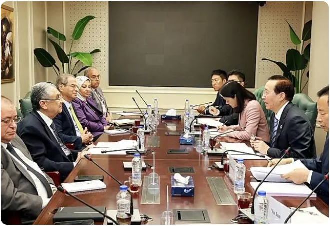 辛保安董事长与埃及电力部部长沙赫尔、中国驻埃及大使廖力强会谈