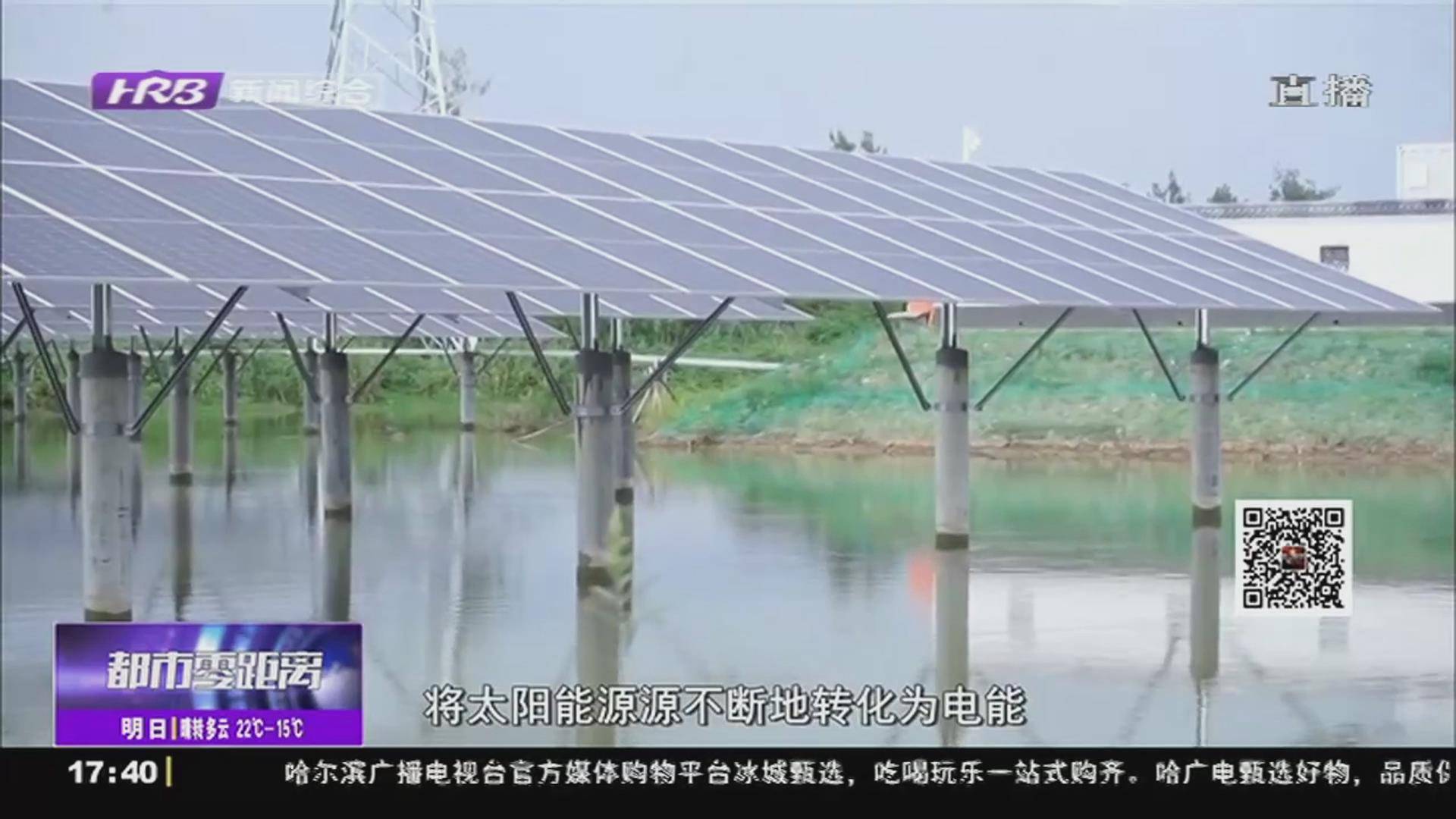 扬州：“渔光互补”江苏首个光伏项目实现市场化并网