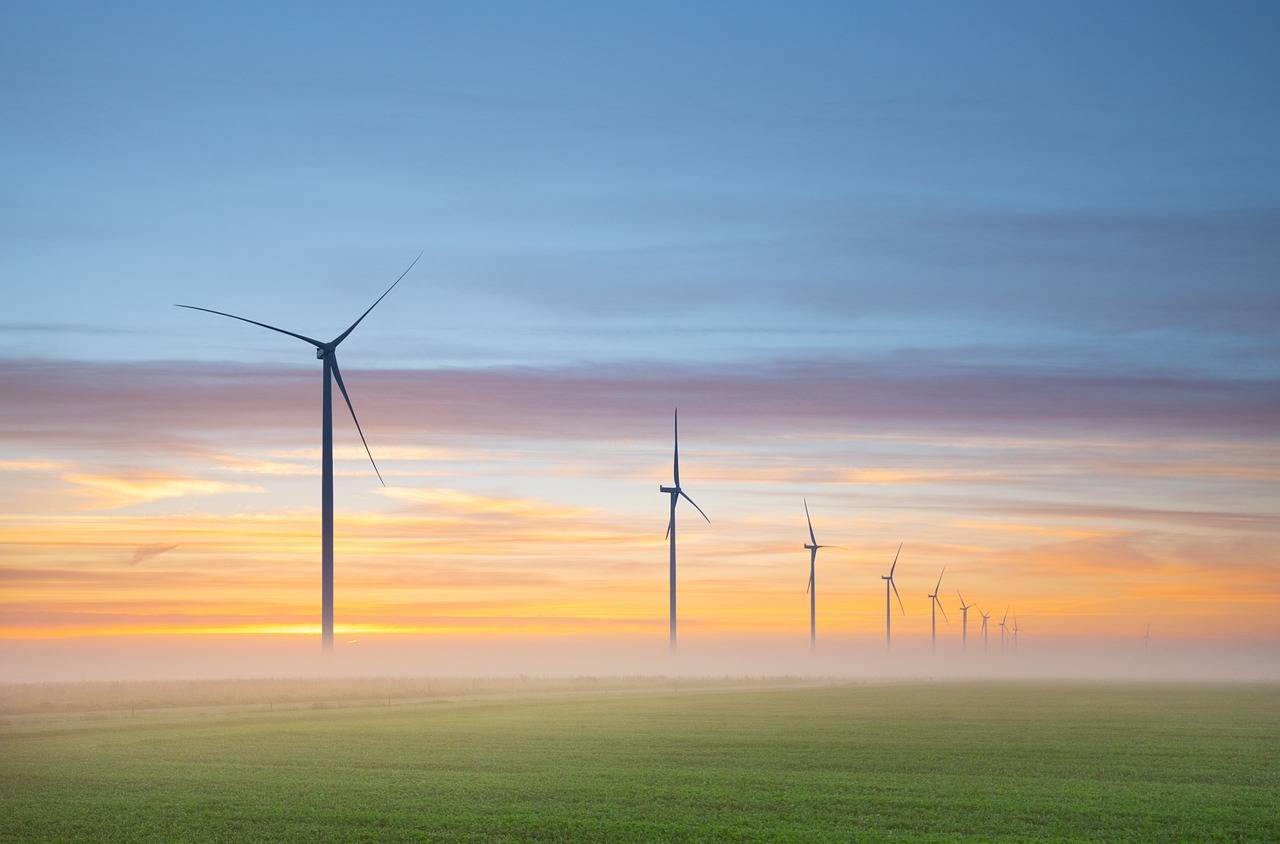 德国今年可再生能源发电量首次超一半以上