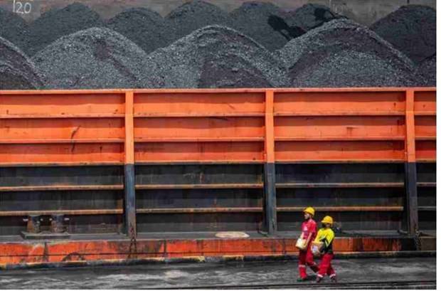 印度尼西亚研究从煤炭中开采稀土元素