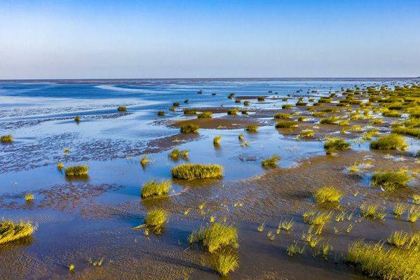 《江苏省近岸海域污染物削减和水质提升三年行动方案》发布，将组织开展沿海涉氮企业专项排查！