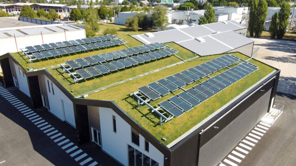法国初创公司为绿色太阳能屋顶提供新解决方案