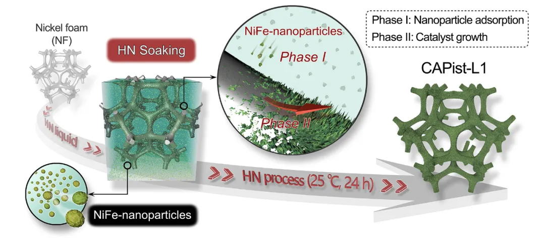 圖丨非均勻形核液相體系如何在泡沫鎳基底上“生長”出催化劑（來源：Nature Catalysis）