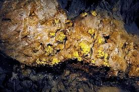 Pelangio Exploration 圆满结束加纳Obuasi项目区无人机磁测调查
