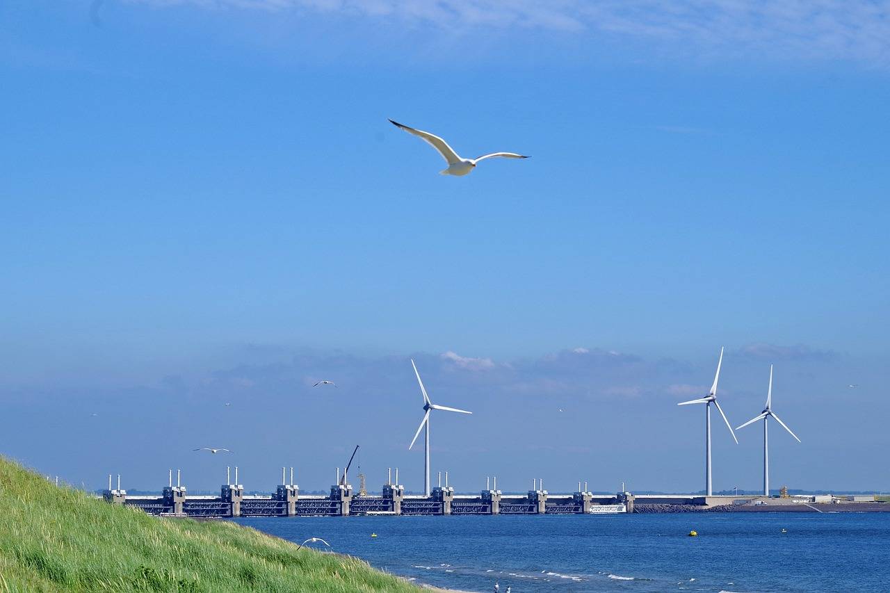 日本能源公司联手推动浮动式海上风电发展