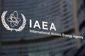 克宫：国际原子能机构总干事和俄国家原子能集团总经理将向普京汇报他们的沟通情况