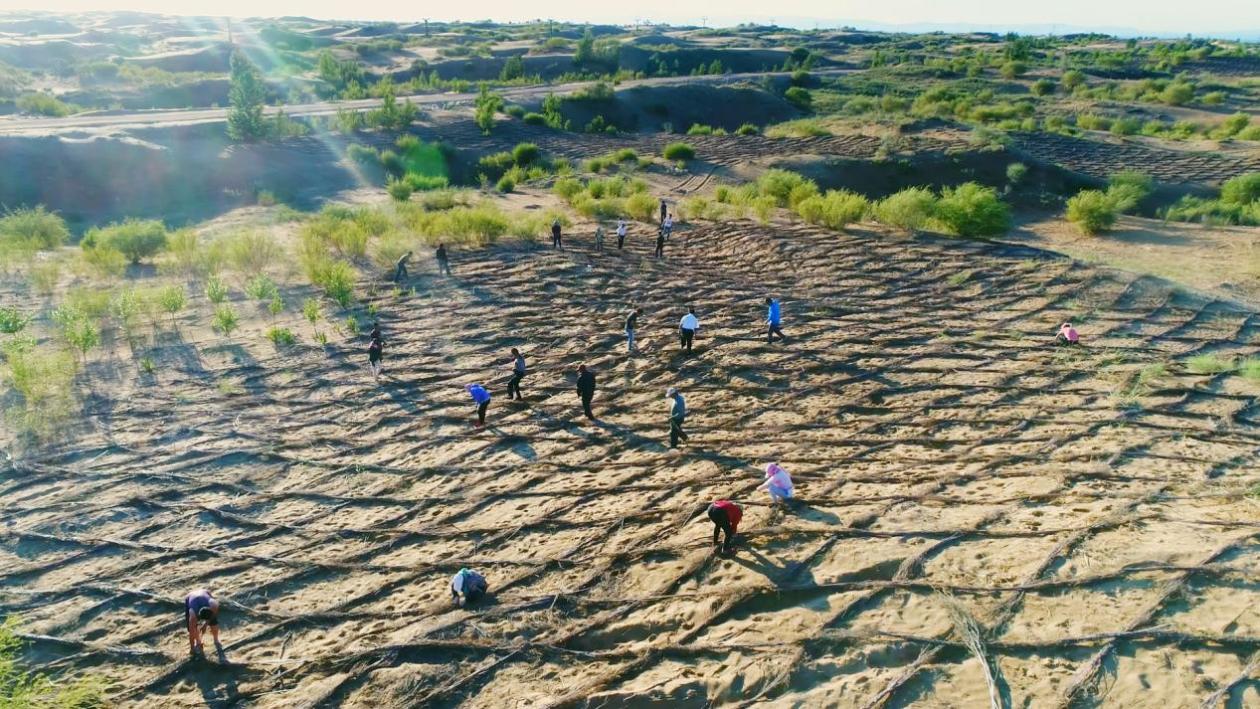 “光伏+治沙”筑牢生態(tài)防線 造就巴彥淖爾“綠色奇跡”