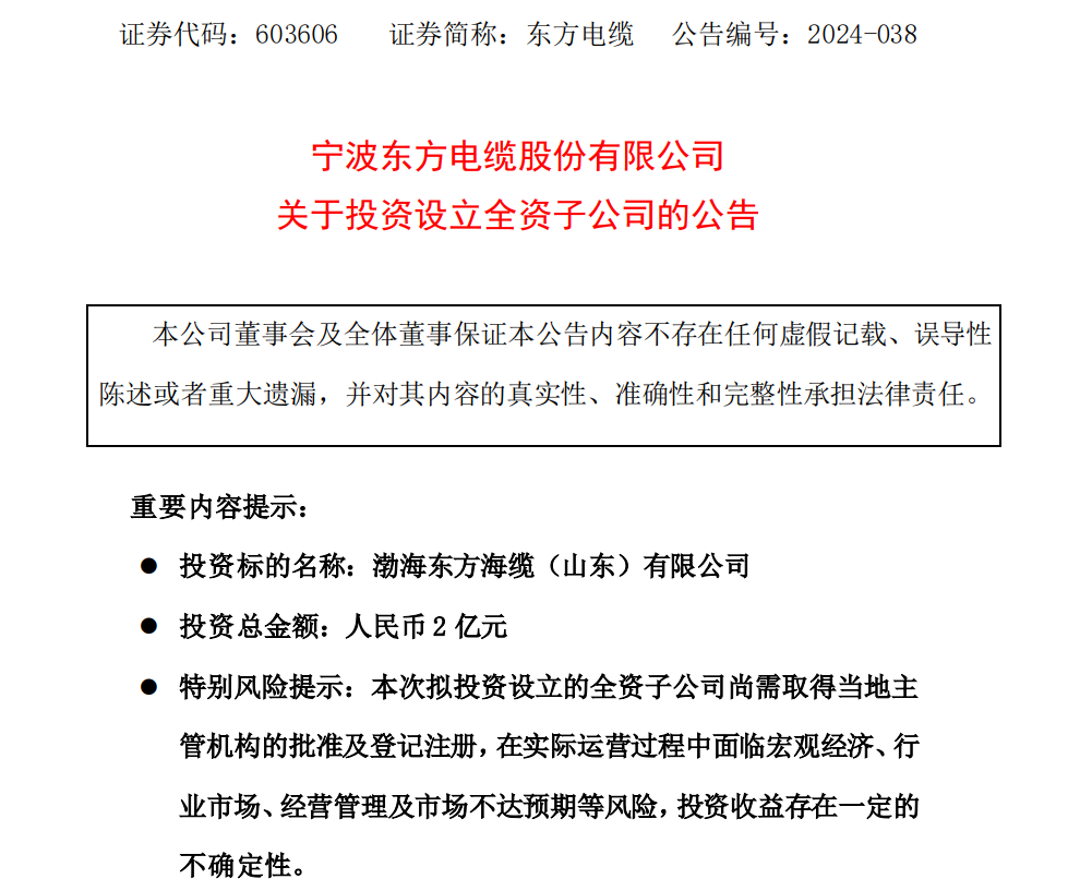 2億元！海纜龍頭企業(yè)投資設(shè)立全資子公司