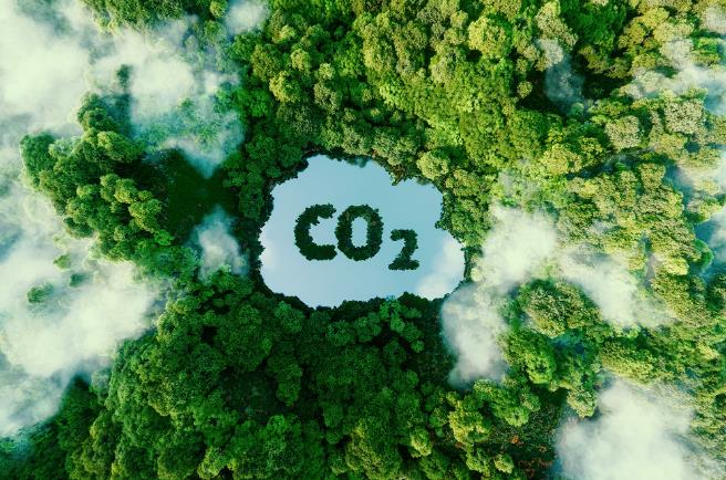 德國歡迎 COP29 氣候融資協(xié)議，認(rèn)為這是多邊主義的勝利